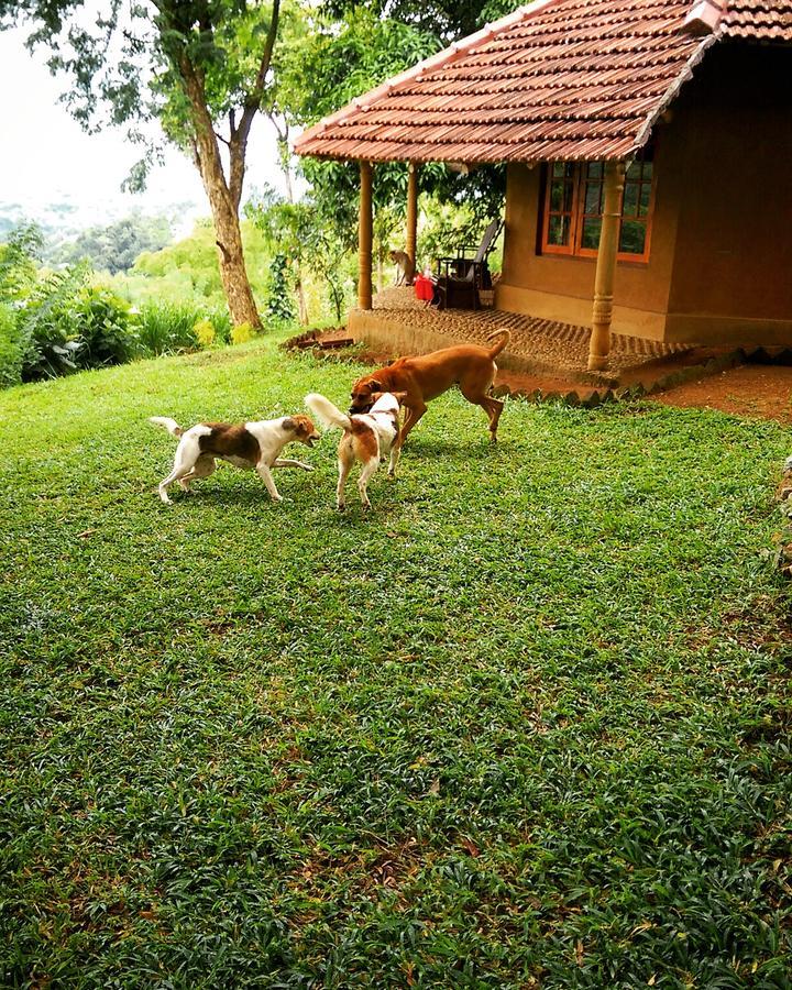 Pepper Hills Cottages Ella Exterior photo